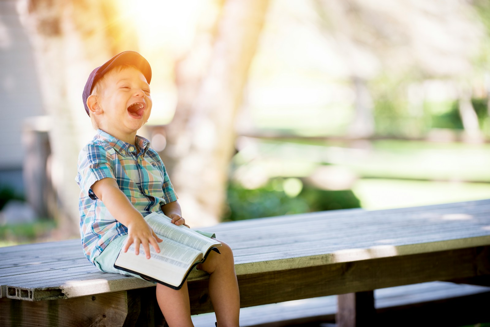 boy sitting on bench while holding a Bible